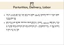 생리학, 여성생식기, 여성생식기구조, 월경주기, 에스트로겐, 프로게스테론, 수정, 임신, 분만, 유즙분비 23페이지