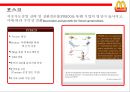 맥도날드 지속가능 공급망 전략 [윤리경영 & 환경경영] 31페이지