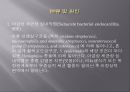 심내막염, Infectious endocarditis 3페이지