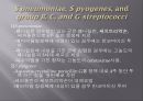 심내막염, Infectious endocarditis 14페이지
