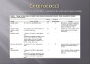 심내막염, Infectious endocarditis 20페이지