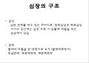 심전도 3페이지