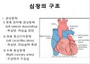 심전도 4페이지