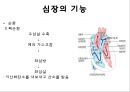 심전도 5페이지