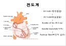 심전도 12페이지