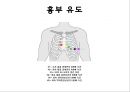 심전도 14페이지