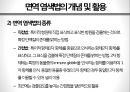 항체를 이용한 면역 염색 방법 5페이지