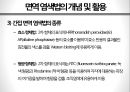 항체를 이용한 면역 염색 방법 7페이지