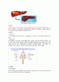 성인 LC  보고서 4페이지