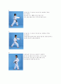 태극1장 부터 십진품새 까지 운동역학적 정리 18페이지