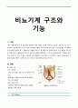 비뇨기계구조와기능, 비뇨기계구조, 비뇨기계기능, 신장, 요관, 방광, 요도와요도구, 노화와배뇨기능, 1페이지