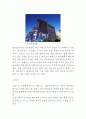 VIP마케팅 특징,장점,전략분석및 기업들의 VIP마케팅전략 도입사례분석과 VIP마케팅 미래발전방안 제언 11페이지
