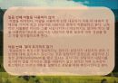 현실치료의 상담과정과 상담원리 23페이지