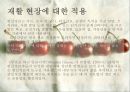 현실치료의 상담과정과 상담원리 26페이지