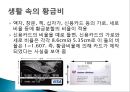 황금비(황금비율) 12페이지