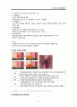 직장과 항문질환A++ 8페이지