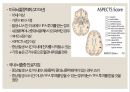허혈성 뇌졸중 치료의 최신지견 6페이지