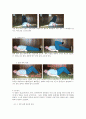 성인 간호, 심장판막 수술 후 환자의 심장재활교육안 21페이지