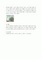 사실문학과 환상문학 중 유아에게 어느 것이 더 교육적으로 바람직한지, 그렇지 않은지, 왜 그렇게 생각하는지 근거를 들어 의견을 나누어 보세요 4페이지