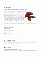 케이스 CBDstone 3페이지