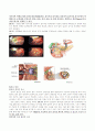케이스 CBDstone 6페이지