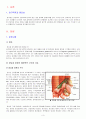 CBD stone 담석증 A+ 교수님이 예문사용한다하심 (담석증 케이스, 담석 케이스 스터디, CBD stone 케이스 스터디, gallstone 사례연구, 담석 간호과정, 담석증 사례연구) 3페이지