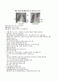 폐렴 케이스 6페이지