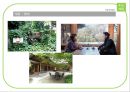 휴 카페 사업계획서[숲과 전통차가 있는 카페] 27페이지
