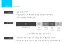 삼천리 하이브리드 자전거 METRO 마케팅 전략 13페이지