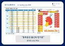 반기문 대통령 만들기 전략 8페이지