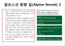 미셸 브라(Michel Bras) 프랑스 슈퍼스타 요리사(Chef)의 요리(cooking) 스토리텔링 9페이지