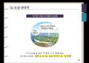 위기를 기회로 전환하는 경영전략[턱수염 드래곤 도마뱀의 성전환과 IBM의 서비타이제이션 사례] 7페이지