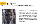 송하맹호도 미술작품 ppt발표 11페이지