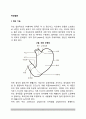 [위장질환] 위의 구조와 기능, 위장질환(위질환)의 종류(급성위염과 만성위염), 소화성 궤양, 위암 - 위 질환의 증상과 치료 및 식이요법 2페이지