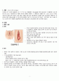 간호과정 case 외음부 암 vulva cancer 문헌고찰 모성간호 3페이지