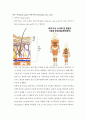 피부 이식(skin graft) 공여부위 간호(Donor site care) 2페이지