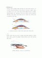 녹내장(glaucoma)간호 2페이지