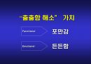 아침햇살 브랜드 재활성화 커뮤니케이션 전략 18페이지