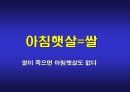 아침햇살 브랜드 재활성화 커뮤니케이션 전략 21페이지