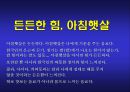 아침햇살 브랜드 재활성화 커뮤니케이션 전략 25페이지