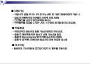 시트벨트 시스템의 이해 48페이지