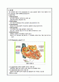 심근경색 / myocardial infarction / 순환기 내과 컨퍼런스 7페이지