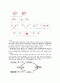 MPS case study 11 4페이지