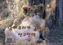 남아프리카 공화국 선교전략 1페이지