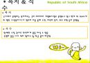 남아프리카 공화국 선교전략 25페이지