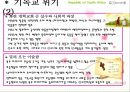 남아프리카 공화국 선교전략 38페이지