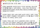 다문화가족의 아동복지서비스 16페이지