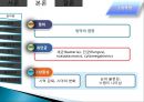 망막장애 대상자 병태생리, 간호 4페이지