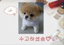 러시아 여행 출발! 50페이지