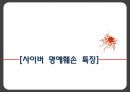 사이버 명예훼손 7페이지
